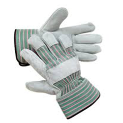 Gloves:Grn Canvas,Lther Palm-L 